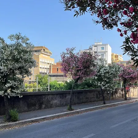 Nero Apartment Nettuno